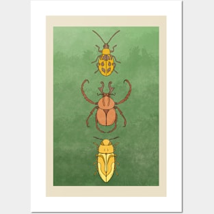 Distressed Beetles Posters and Art